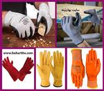 تصاویر نرم افزار
