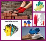 تصاویر نرم افزار