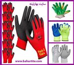 تصاویر نرم افزار