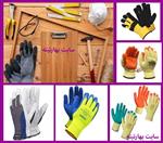تصاویر نرم افزار